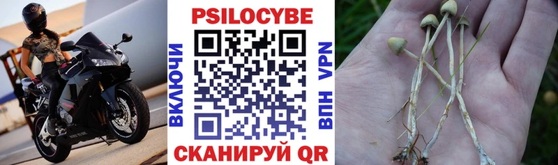 Псилоцибиновые грибы Magic Shrooms  Колпашево 
